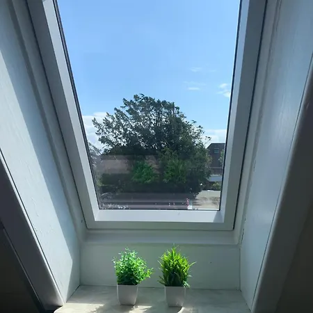 Wattn Kiste Moin בוסום